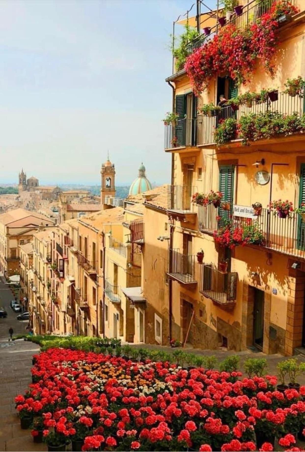 Casa Tipica Siciliana Patronale Home Bedandbreakfast Tremetrisoprailcielo Camere Con Vista, Colazione Interna In Terrazzo Panoramico Caltagirone Eksteriør billede