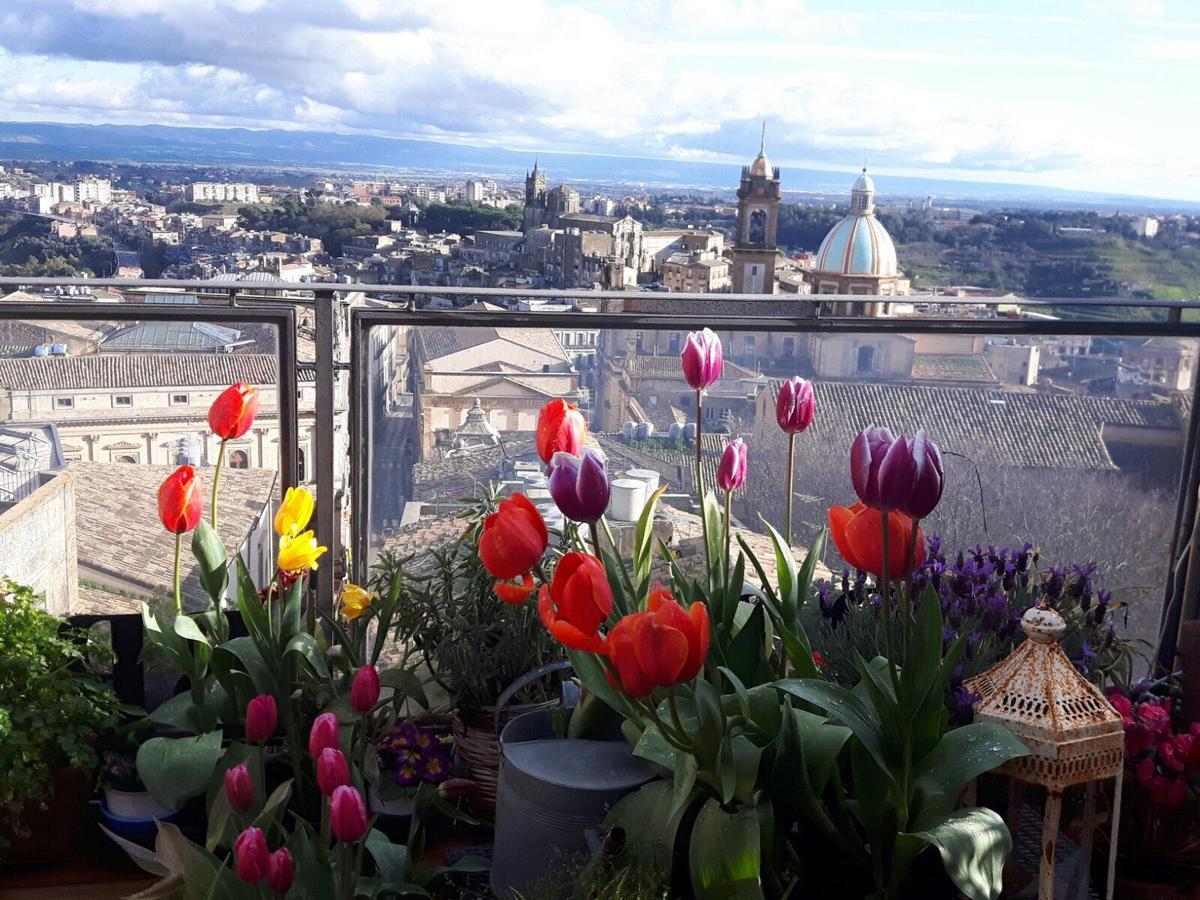 Casa Tipica Siciliana Patronale Home Bedandbreakfast Tremetrisoprailcielo Camere Con Vista, Colazione Interna In Terrazzo Panoramico Caltagirone Eksteriør billede