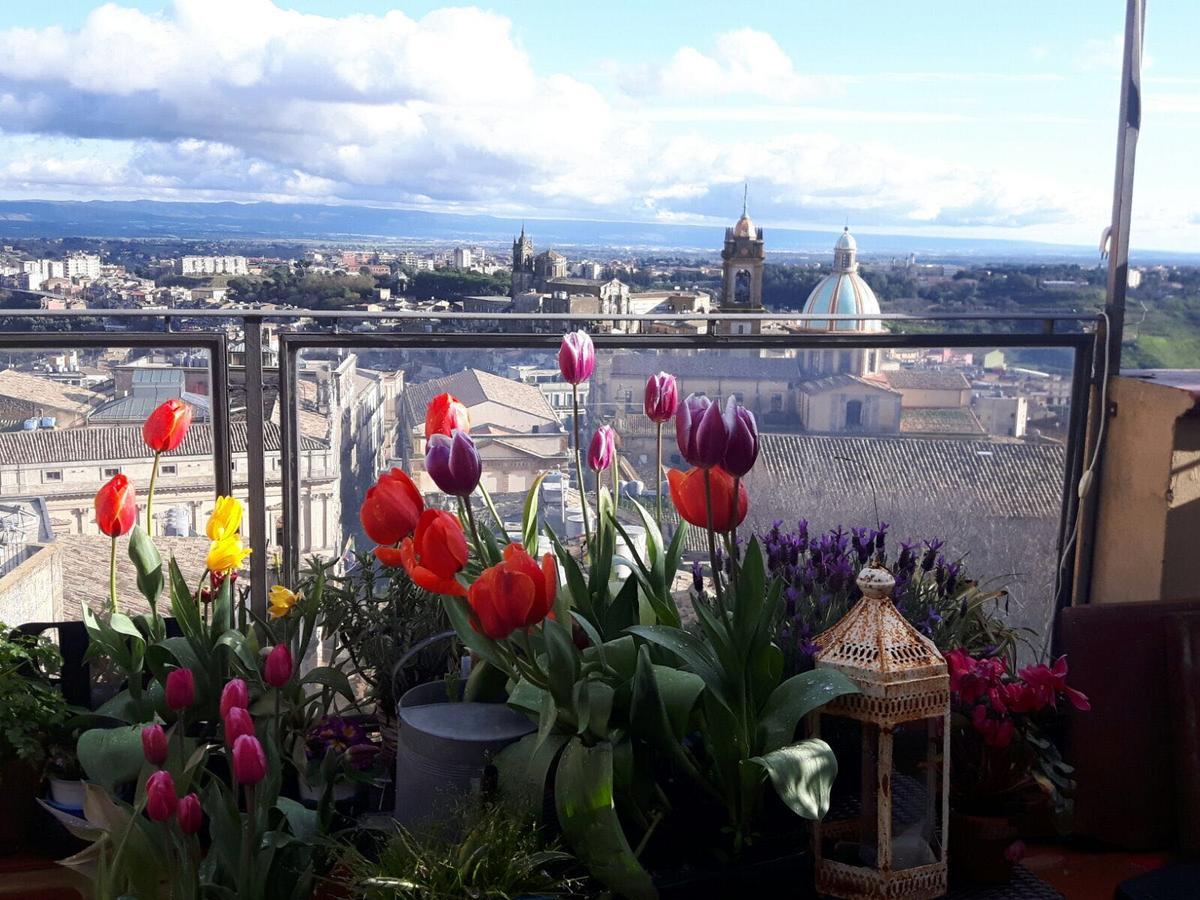 Casa Tipica Siciliana Patronale Home Bedandbreakfast Tremetrisoprailcielo Camere Con Vista, Colazione Interna In Terrazzo Panoramico Caltagirone Eksteriør billede