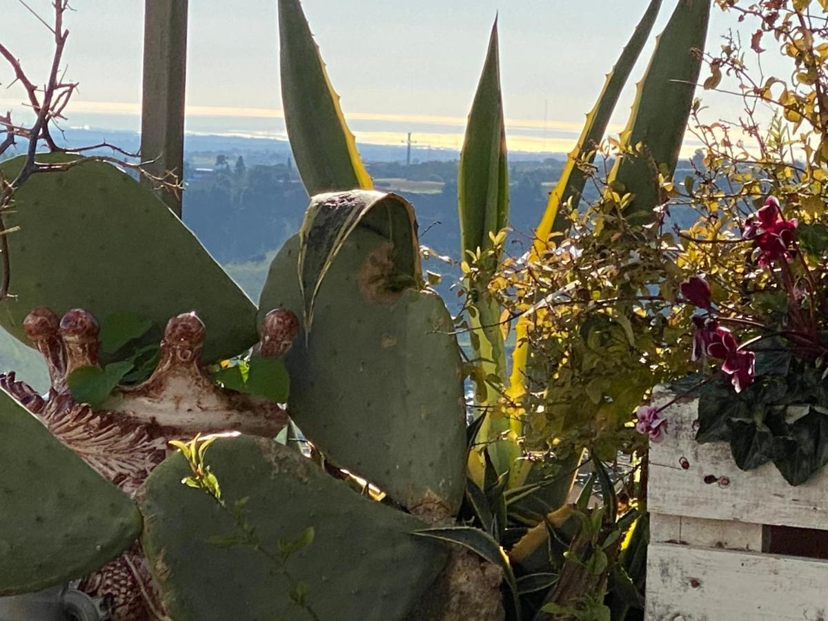Casa Tipica Siciliana Patronale Home Bedandbreakfast Tremetrisoprailcielo Camere Con Vista, Colazione Interna In Terrazzo Panoramico Caltagirone Eksteriør billede